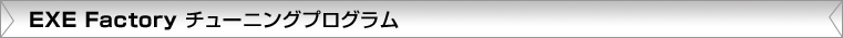 エクゼファクトリーチューニングプログラム